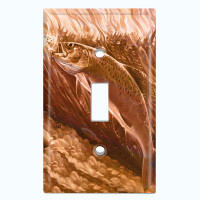 WorldAcc Metal Light Switch Plate Outlet Cover (Trophy Fishing Trout Clear Water Lake Brown - Single Toggle)