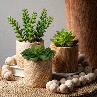 Millwood Pines Arteen 3 - Piece Artificial Succulent in Pot