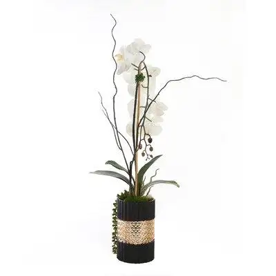 Primrue Real Touch White Phalaenophsis Orchid With Geodes Crystal Rocks And Succulent Arrangement In Black/Gold Glass Va