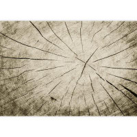 IDEA4WALL Up Close Portrait of The Wrinkles and Cracks Inside of a Tree Trunk Sticker Home Decor