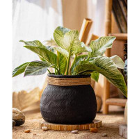 Bay Isle Home™ Louna Pot Planter