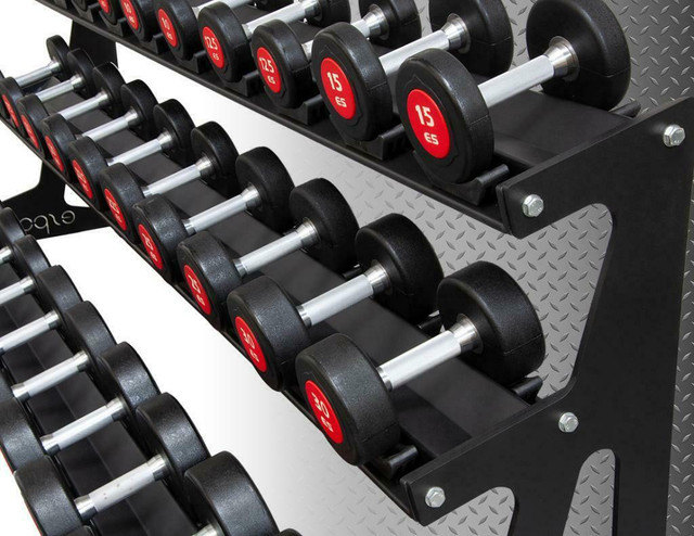 FREE SHIPPING CODE IS eSPORT (NEW eSPORT 15 PAIRS DUMBBELL RACK WITH 15 PAIRS OF COMMERCIAL UROTHEN DUMBBELLS dans Appareils d'exercice domestique - Image 2