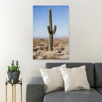 Foundry Select Cactus Plant Closeup Photography - 1 Piece Rectangle Graphic Art Print On Wrapped Canvas