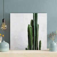 Foundry Select Green Cactus Plant On White Surface 1 - Wrapped Canvas Painting