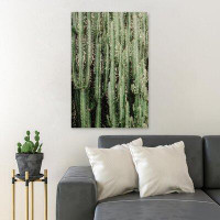 Foundry Select Green Cactus Plant Close-Up Photo - 1 Piece Rectangle Graphic Art Print On Wrapped Canvas