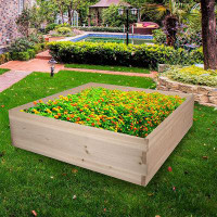 Gracie Oaks Savalas 4 ft x 4 ft Raised Garden Bed