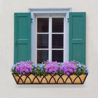 Ophelia & Co. Y&m 30 Inch Window Planter Box 2pcs Iron Window Deck Railing Planter With Coco Liner, Metal Horse Troughs