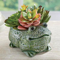 Primrue Charming Frog Planter With Artificial Succulents