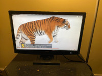 Used 21 Acer H213H  LCD Monitor with HDMI (1080) for Sale, Can deliver