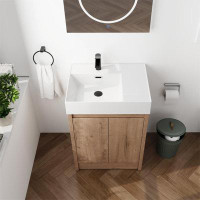 Ebern Designs Alparra 24" Single Bathroom Vanity Set