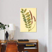 East Urban Home 'Lead Plant' Print on Canvas
