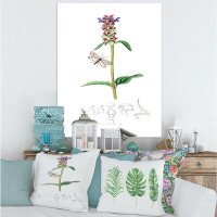 East Urban Home Vintage Insects And Plants II - Print on Canvas