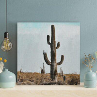 Foundry Select Cactus Plant On Brown Field During Daytime - 1 Piece Square Graphic Art Print On Wrapped Canvas