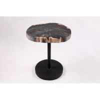 DYAG East Living Edge Petrified Wood Top with Black Metal Stand End Table