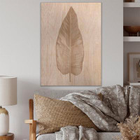 Bay Isle Home™ Dried Leaf Plant Beige On White - Traditional Wood Wall Art Décor - Natural Pine Wood
