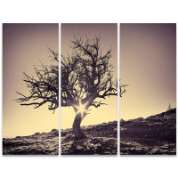 Made in Canada - Design Art Lonely Grey Tree in Mountain - 3 Piece Graphic Art on Wrapped Canvas Set