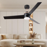 Wrought Studio 52 Inch Ceiling Fans With Lights Flush Mount,  Modern Ceiling Fan With Light And Remote Control - 3 Blade
