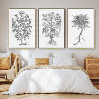 Wexford Home B&W Plant Specimen IFramed Premium Gallery Wrapped Canvas Set of 3_S7320