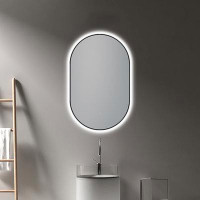 Ivy Bronx Isalgue 20" W X 32" H Led Lighted Bathroom Mirror With Dimmer & Defogger In Black