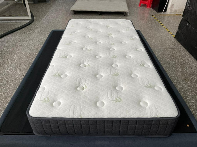 Lord Selkirk Furniture - Sabrina 8 Mattress in a Box (Twin-$249/Double-$289/Queen-$299) in Beds & Mattresses in Winnipeg - Image 4