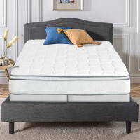 Spinal Solution 8-Inch Medium Firm Heavier Pocket Coil Spring Hybrid Mattress, Motion Isolation, Bed in a Box