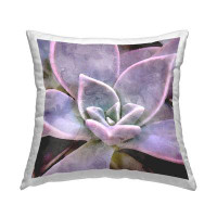 East Urban Home Purple Succulent Blooming Printed Throw Pillow Design By Daphne Polselli