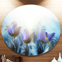Design Art 'Blooming Blue Spring Flowers' Photographic Print on Metal