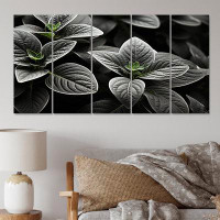 Red Barrel Studio Grey Plants Botanical Serenity - Floral Canvas Print - 5 Equal Panels