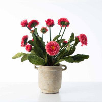Primrue English Daisy Faux Floral Houseplant In Double Handle Clay Urn