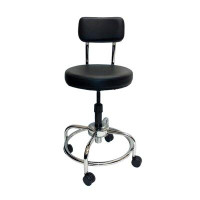 Symple Stuff Wentzel Height Adjustable Lab Stool with Free Spin Lift