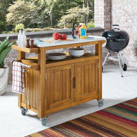 Beachcrest Home Anjenette Beachcrest Home Bar Cart with Solid Wood Outer Material