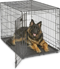 XL Dog Crate | MidWest iCrate Folding Metal Dog Crate | Divider Panel, Floor Protecting Feet, Leak-Proof Dog Tray | 48L