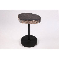 DYAG East Living Edge Petrified Wood Top with Black Metal Stand End Table