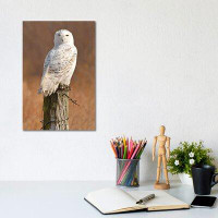 East Urban Home Snowy Owl - Wrapped Canvas Print