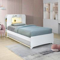Ivy Bronx Twin Size Wood Platform Storage Bed with Trundle