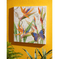 Evergreen Enterprises, Inc Butterfly And Bird Of Paradise 24"X24" Outdoor Canvas