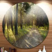 Made in Canada - Design Art 'Road Through Green Pine Forest' Photographic Print on Metal