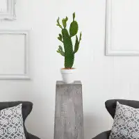 Primrue 21.5" Artificial Cactus Plant in Pot