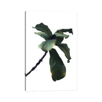East Urban Home Green Plant Leaf Full by - Wrapped Canvas Print