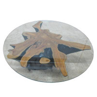 DYAG East Organic Star Teak Root Coffee Table Or Accent Table 59