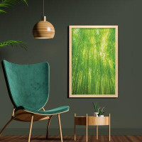 East Urban Home Ambesonne Bamboo Print Wall Art With Frame, Image Of Bamboo Trees With Sun Rays In Rainforest Exotic Wil