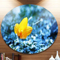 Made in Canada - Design Art 'Solitary Yellow Flower on Blue' Photographic Print on Metal