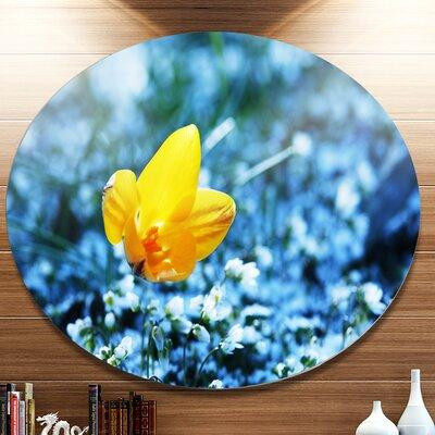 Made in Canada - Design Art 'Solitary Yellow Flower on Blue' Photographic Print on Metal in Home Décor & Accents