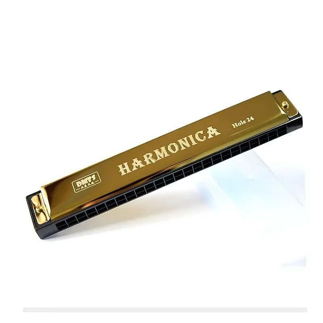 Harmonica C 24 Hole Tremolo Harmonica Key of C, Professional Harmonica C Tremolo Harmonica Gold in Other