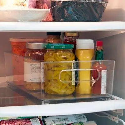 Rebrilliant Alaina Refrigerator Freezer Bin