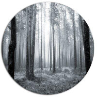Made in Canada - Design Art 'Black and White Foggy Forest' Photographic Print on Metal
