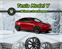 Tesla Model-Y 19 Winter Tire Package