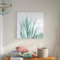 Bungalow Rose 'Agave Plant' Oil Painting Print on Wrapped Canvas