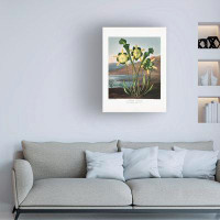 Trademark Fine Art Pictufy  Pitcher Plant From The Temple Of Flora 1807 Canvas Art
