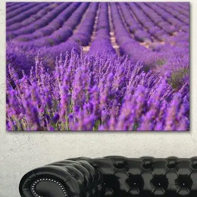 Made in Canada - Design Art 'Beautiful Fragrant Lavender Fields' Photographic Print on Wrapped Canvas